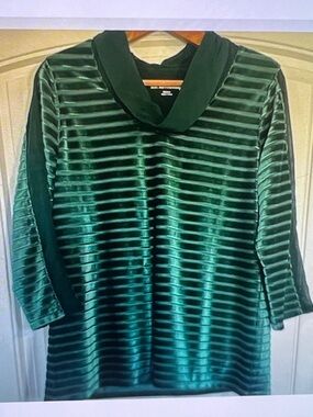 Soft Surroundings Velvet Tunic Top